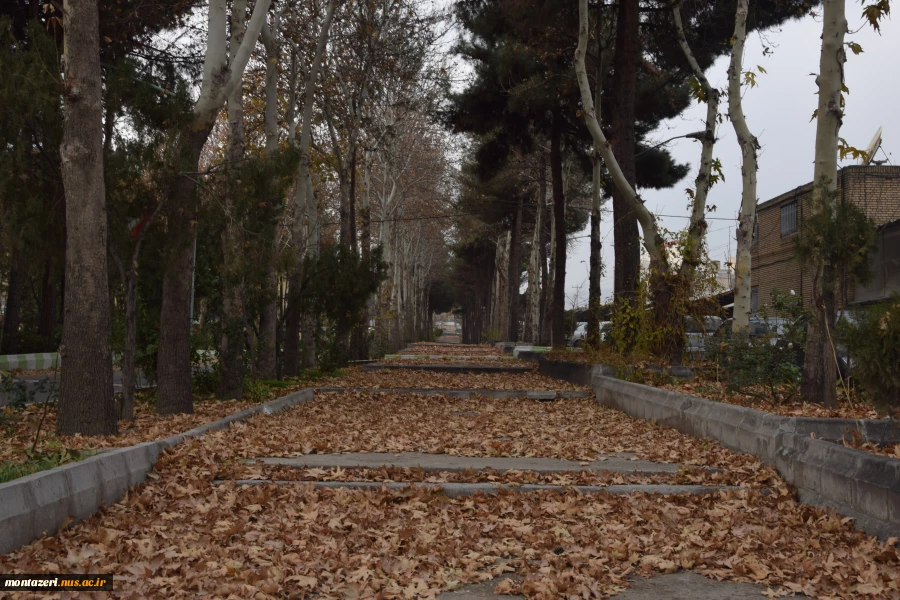 پاییز1403