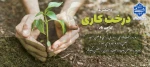 روز درختکاری 2