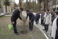 برگزاری آیین درختکاری در دانشگاه ملی مهارت استان خراسان رضوی 4