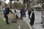 برگزاری آیین درختکاری در دانشگاه ملی مهارت استان خراسان رضوی 5