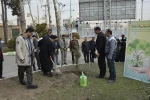 برگزاری آیین درختکاری در دانشگاه ملی مهارت استان خراسان رضوی 6