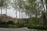 بهار1404