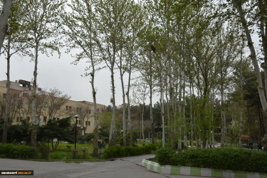 بهار1404