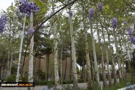 بهار1404