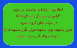 کارآموزی نیمسال تابستان1404 در شرکت های مشهد