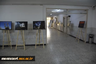 برپایی نمایشگاه عکس مرزبانی به مناسبت هفته دفاع مقدس در دانشکده منتظری 3