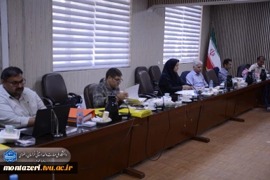 برگزاری کارگروه بررسی پرونده همکاران مراکز برای ارتقای رتبه 3